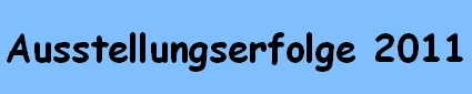 Ausstellungserfolge 2011