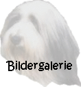 Bildergalerie