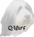 Q-Wurf