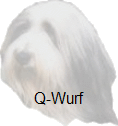 Q-Wurf