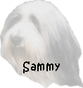 Sammy