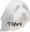 T-Wurf