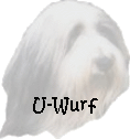 U-Wurf