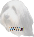 W-Wurf