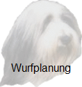 Wurfplanung