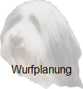 Wurfplanung