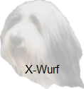X-Wurf