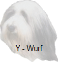Y - Wurf