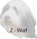 Z - Wurf