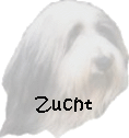 Zucht