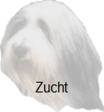 Zucht